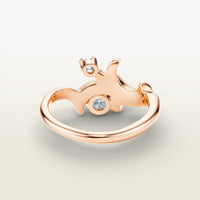 Moshe Ring
