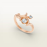 Moshe Ring
