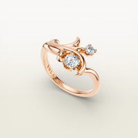 Moshe Ring