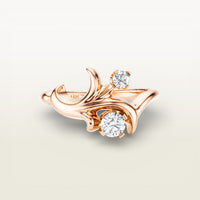 Moshe Ring