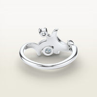 Moshe Ring