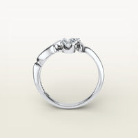 Moshe Ring