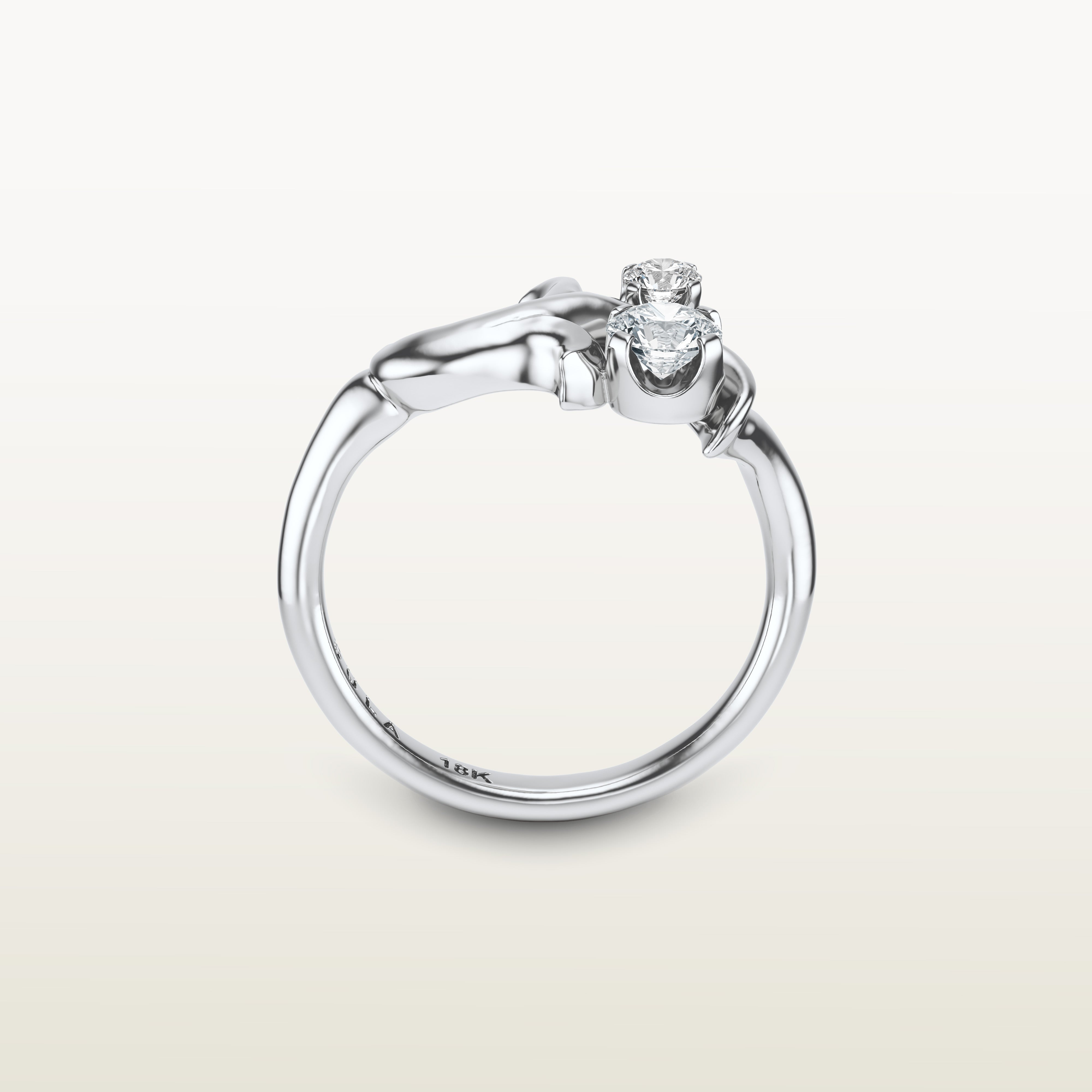 Moshe Ring