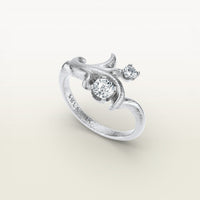 Moshe Ring