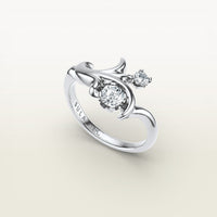 Moshe Ring