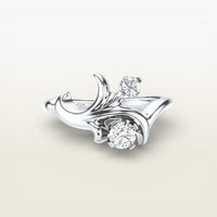 Moshe Ring