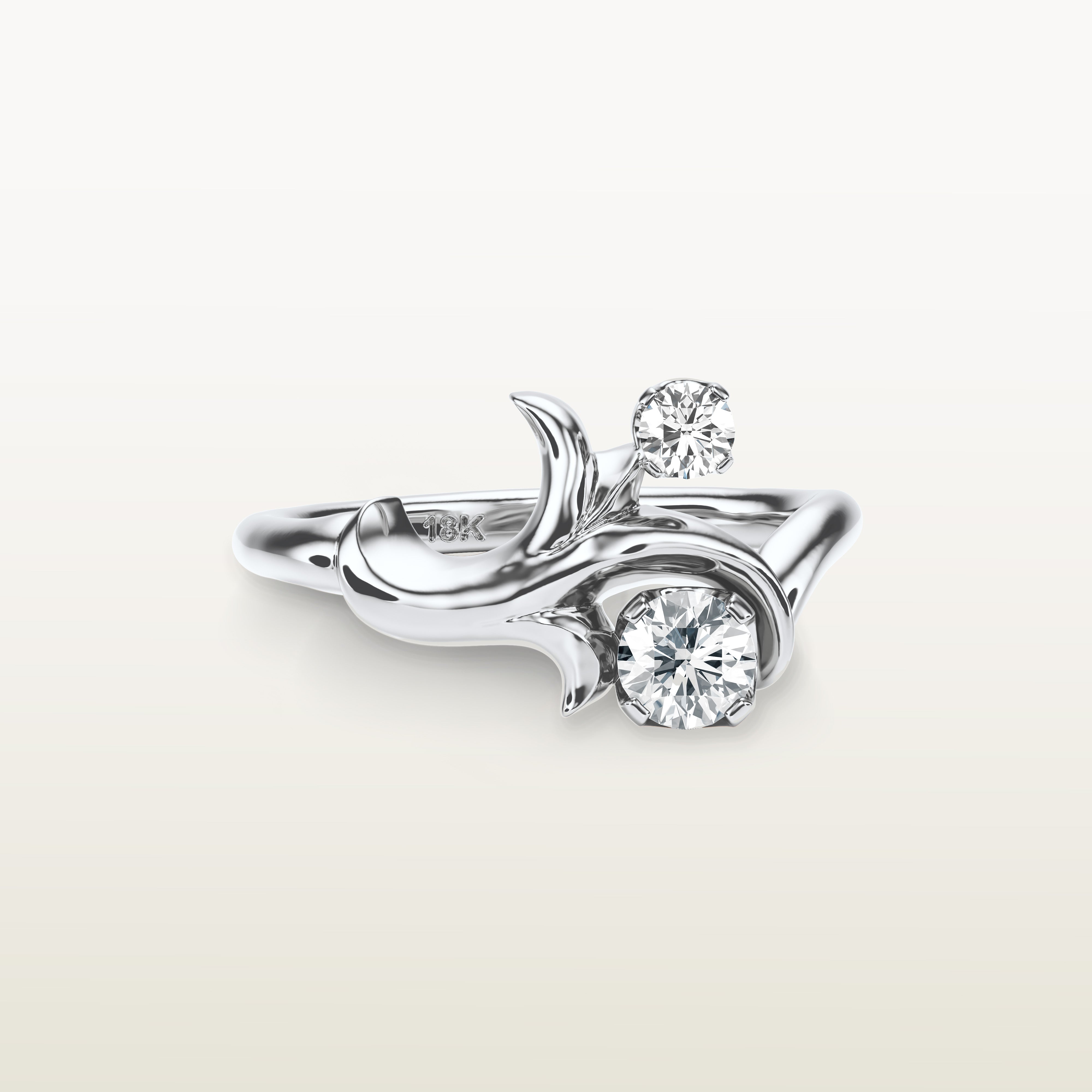 Moshe Ring