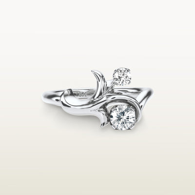 Moshe Ring