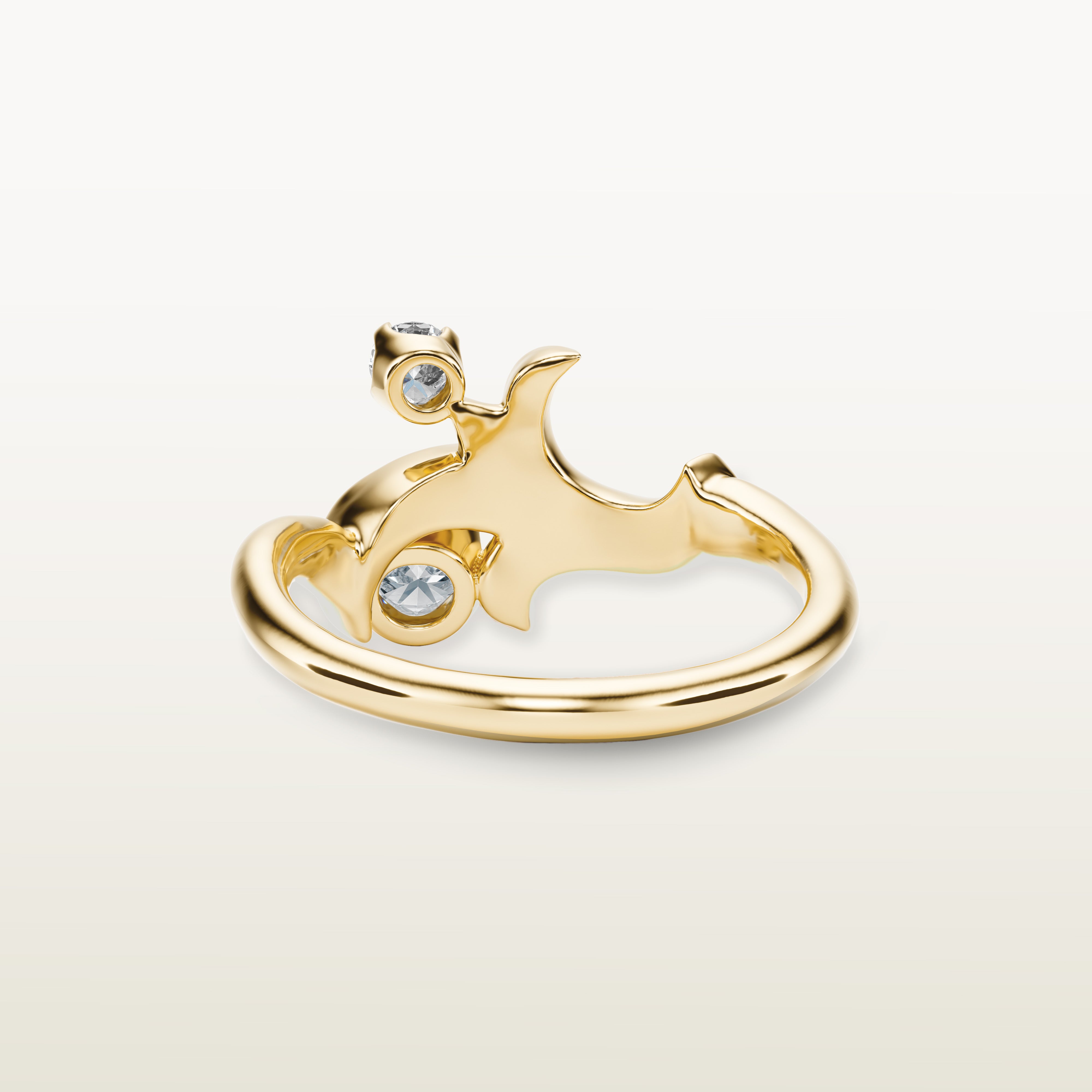 Moshe Ring