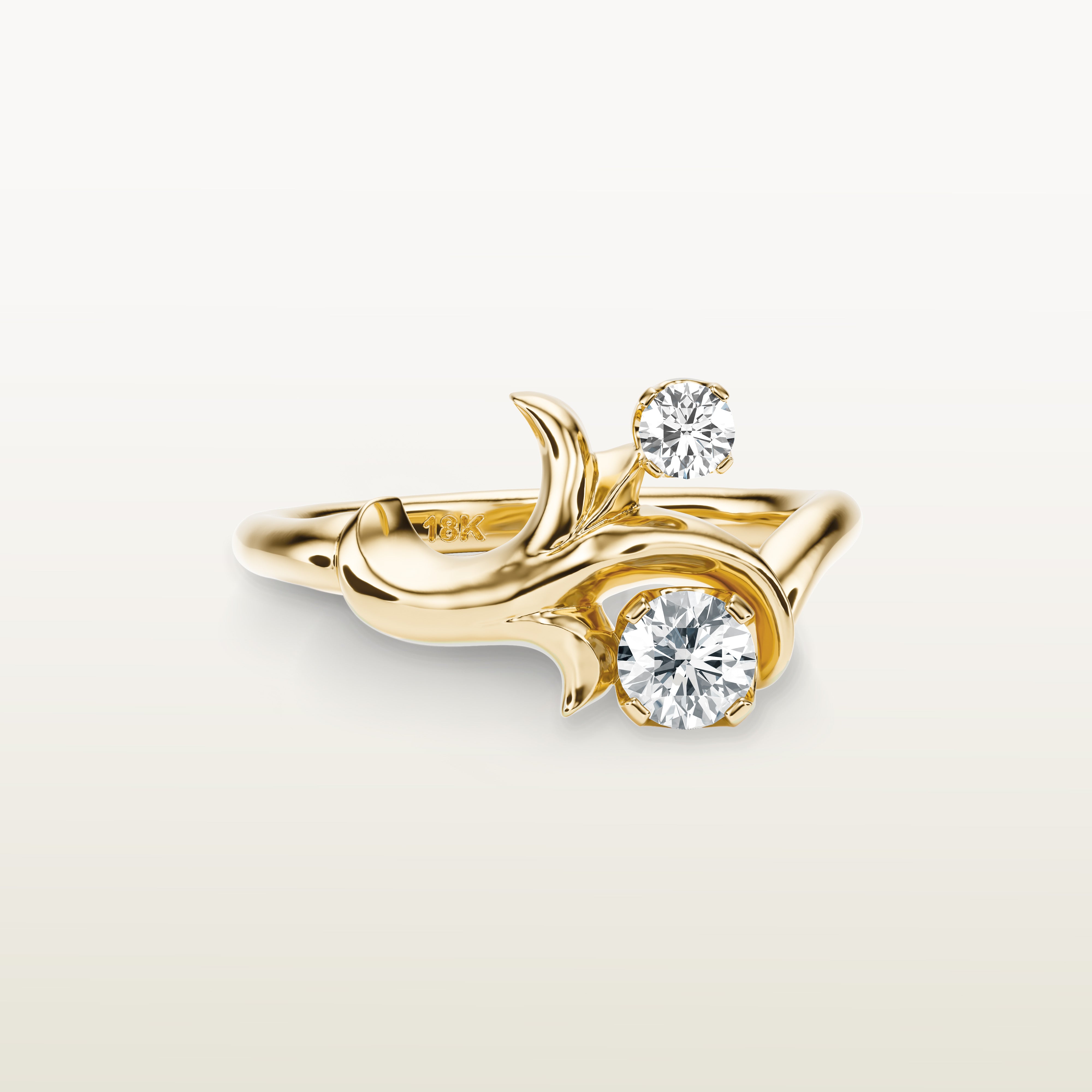 Moshe Ring